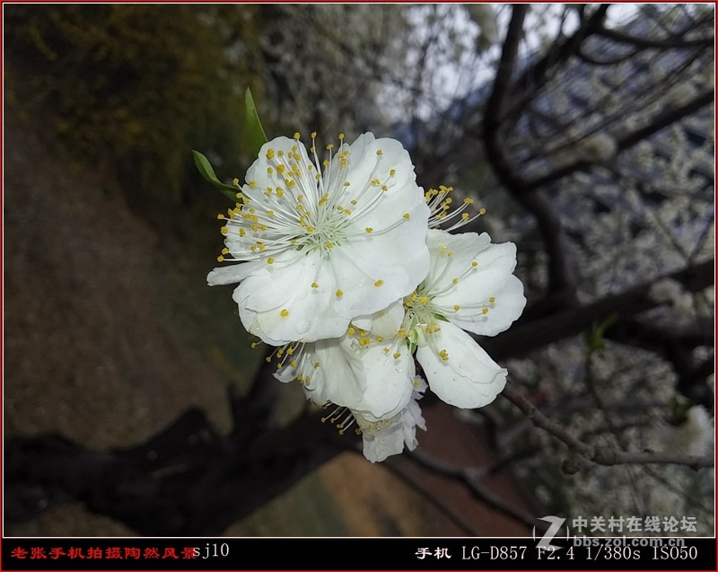 D857 手机拍片也疯狂——阴天手机拍陶然亭风景