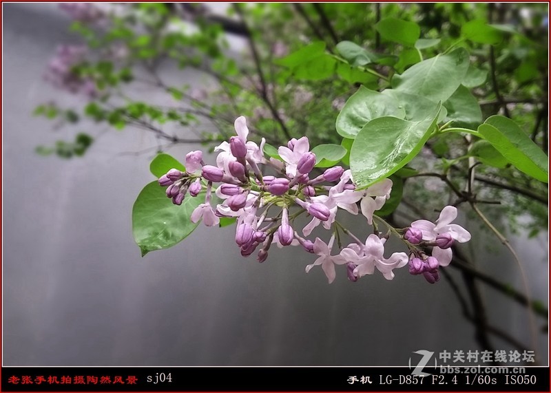 D857 手机拍片也疯狂——阴天手机拍陶然亭风景