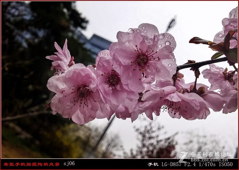 D857 手机拍片也疯狂——阴天手机拍陶然亭风景