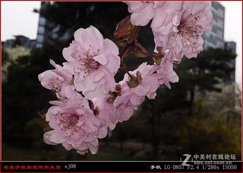 D857 手机拍片也疯狂——阴天手机拍陶然亭风景