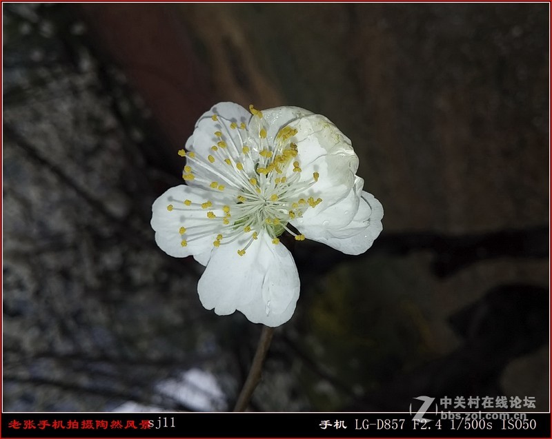 D857 手机拍片也疯狂——阴天手机拍陶然亭风景