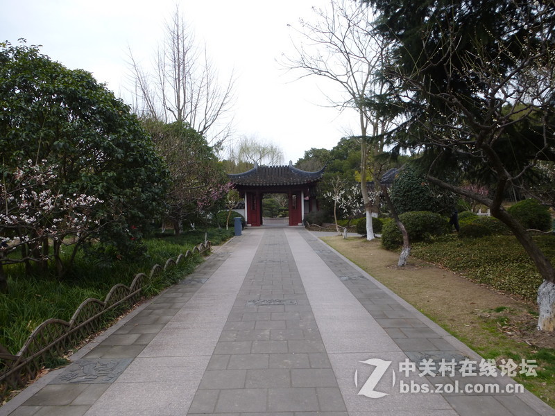2015上海莘庄公园梅花展随拍