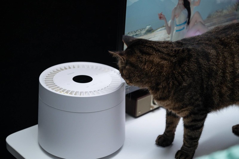 萌宠和清香一个都不能少，养宠好物petree宠物净味器