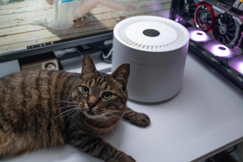 萌宠和清香一个都不能少，养宠好物petree宠物净味器