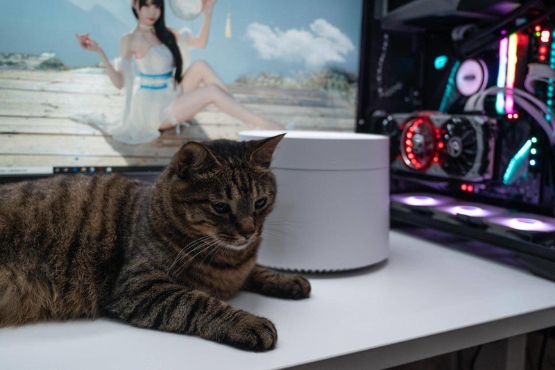 萌宠和清香一个都不能少，养宠好物petree宠物净味器