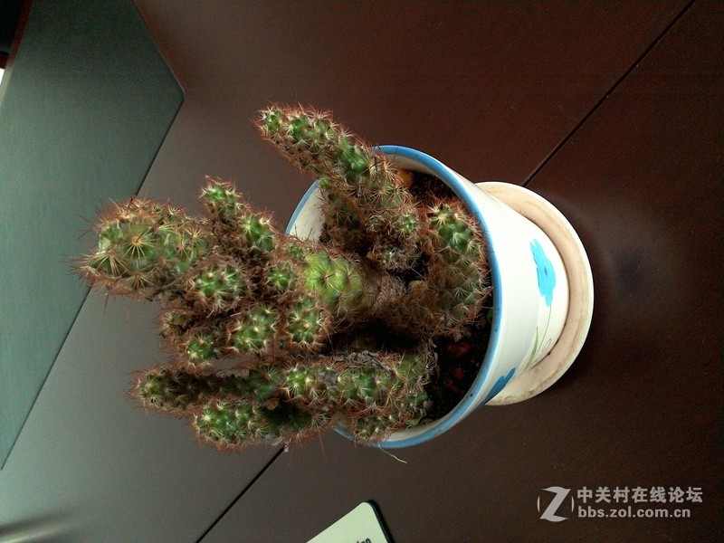 #我和N1有个约会#诺记天蚕变，New divide，New day！