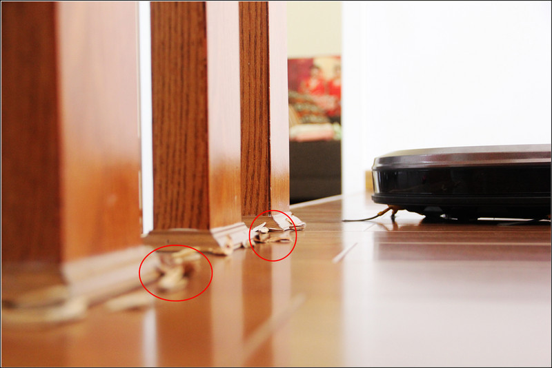 #地宝朵朵懒癌救星#科沃斯地宝朵朵将扫地机器人重新定义，和传统说拜拜！【下篇】