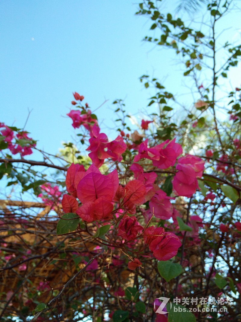 oppo N3 带你游埃及——拍摄样张