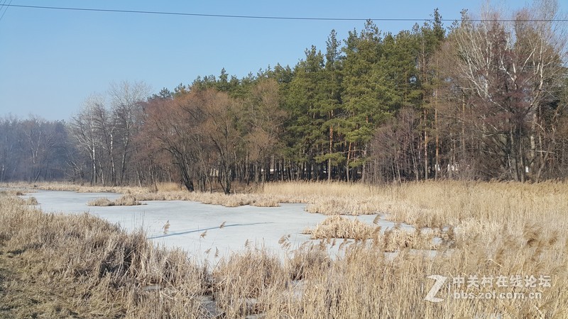 欧洲行货SM-910欧洲拍摄欧洲郊外
