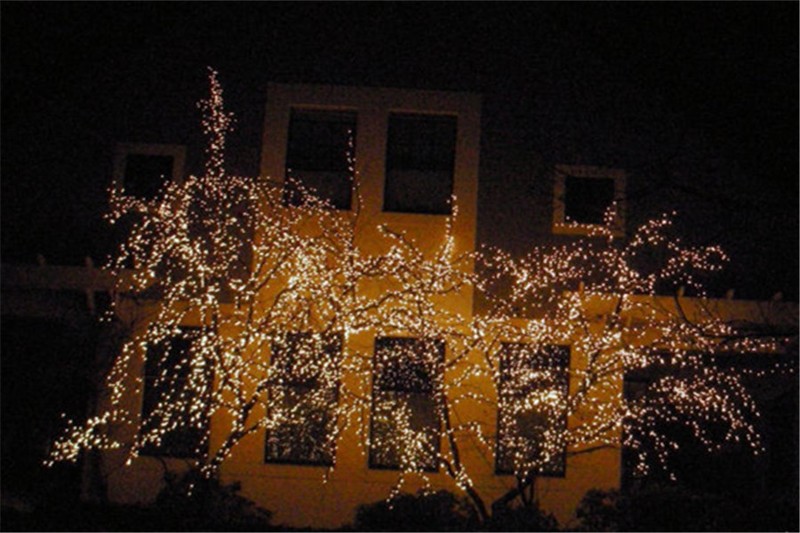 【运光呈影，快乐圣诞】夜游新西兰+HTC ONE