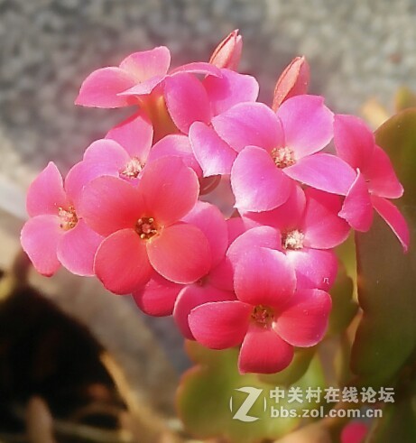 小照上传
