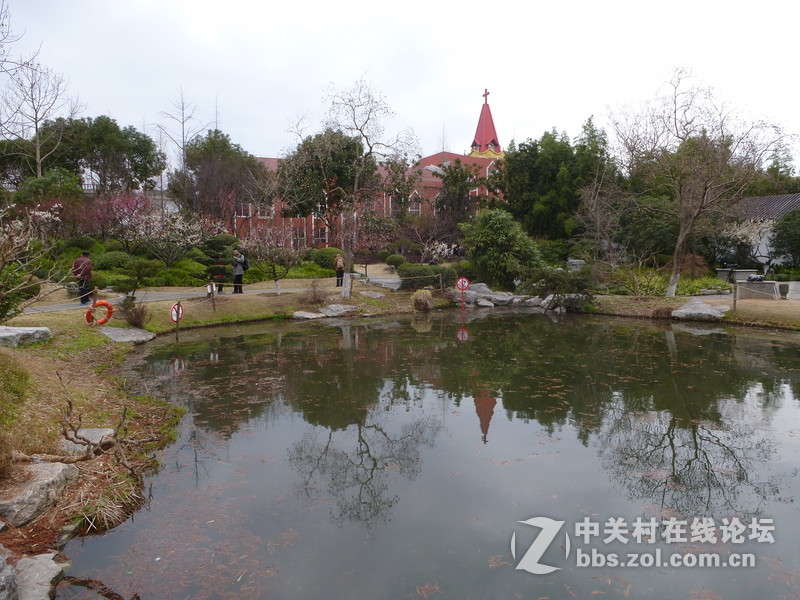 2015上海莘庄公园梅花展随拍