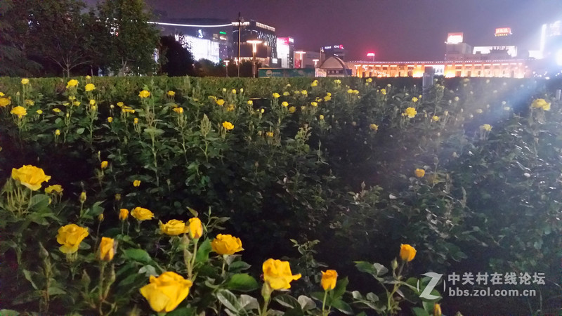 泉城之夜！，(手机随拍)