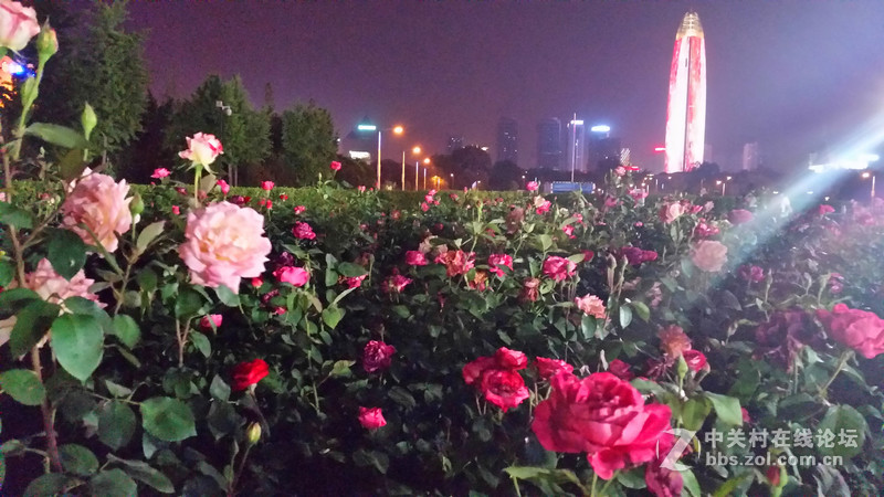 泉城之夜！，(手机随拍)