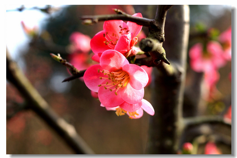 #车载#众筹智能硬件首测!CALM智能车载空气净化器开箱体验报告