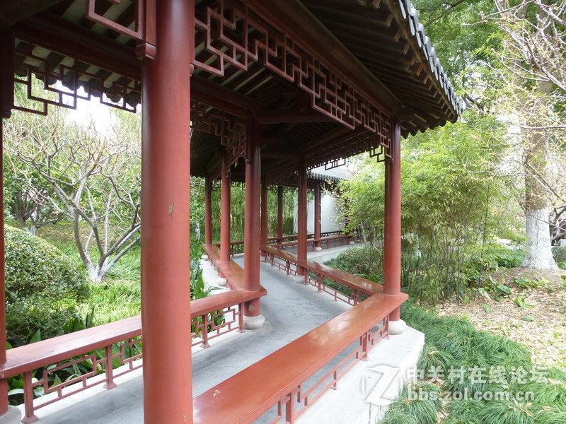 2015上海莘庄公园梅花展随拍