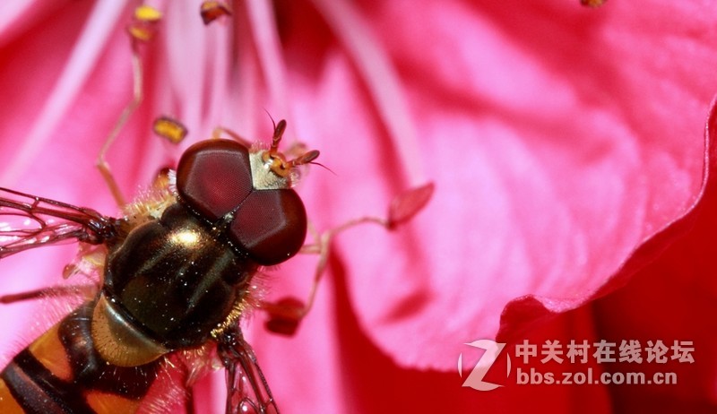 春暖花开