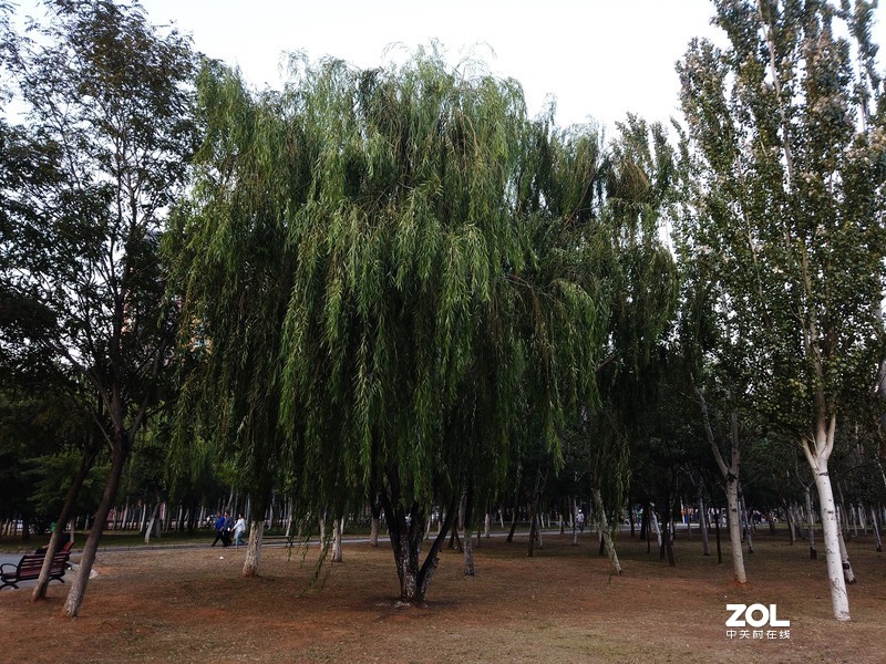 效果不错！这个星空(中国)太冷清！！！