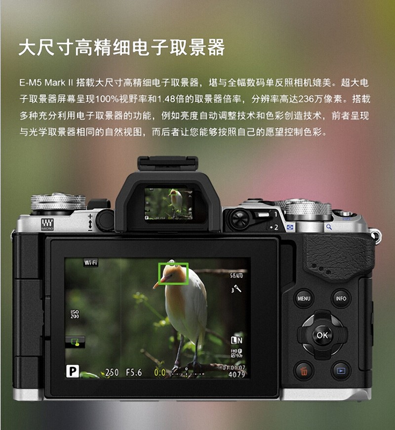 与众不同，傲视群雄，奥林巴斯的个性！