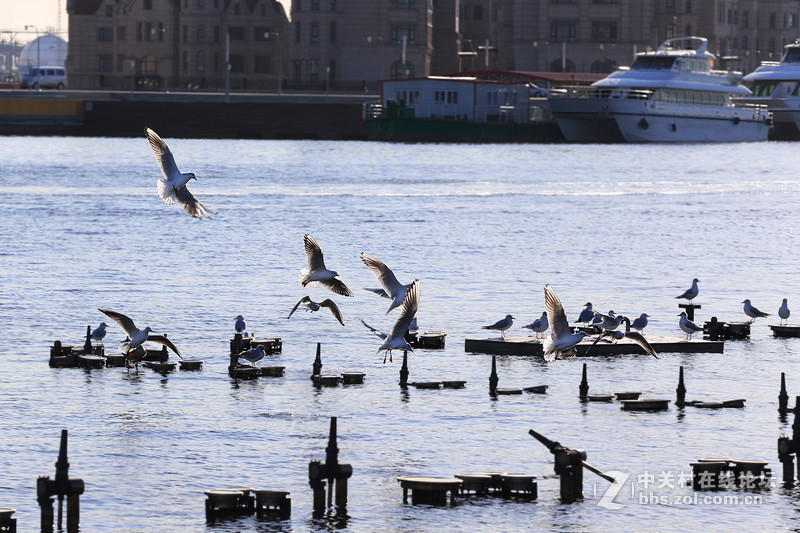 摄影新手【流沙】 2016新年亲子旅游随拍（七）