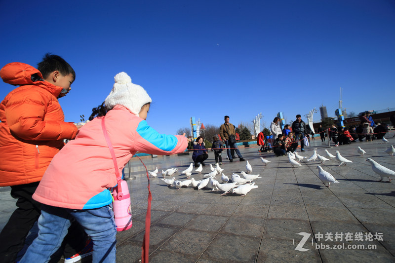 摄影新手【流沙】 2016新年亲子旅游随拍（七）