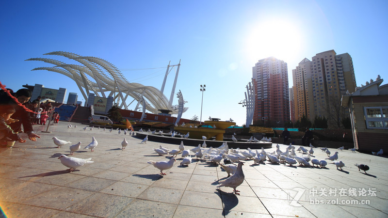 摄影新手【流沙】 2016新年亲子旅游随拍（七）