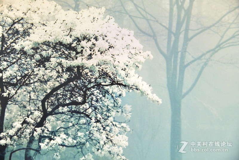 ＃色彩如此真实＃专业色彩之美，优派VP2771体验校准篇