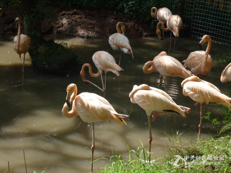 初次发贴，请大家多多关照~