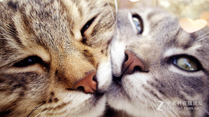 ＃色彩如此真实＃专业色彩之美，优派VP2771体验校准篇