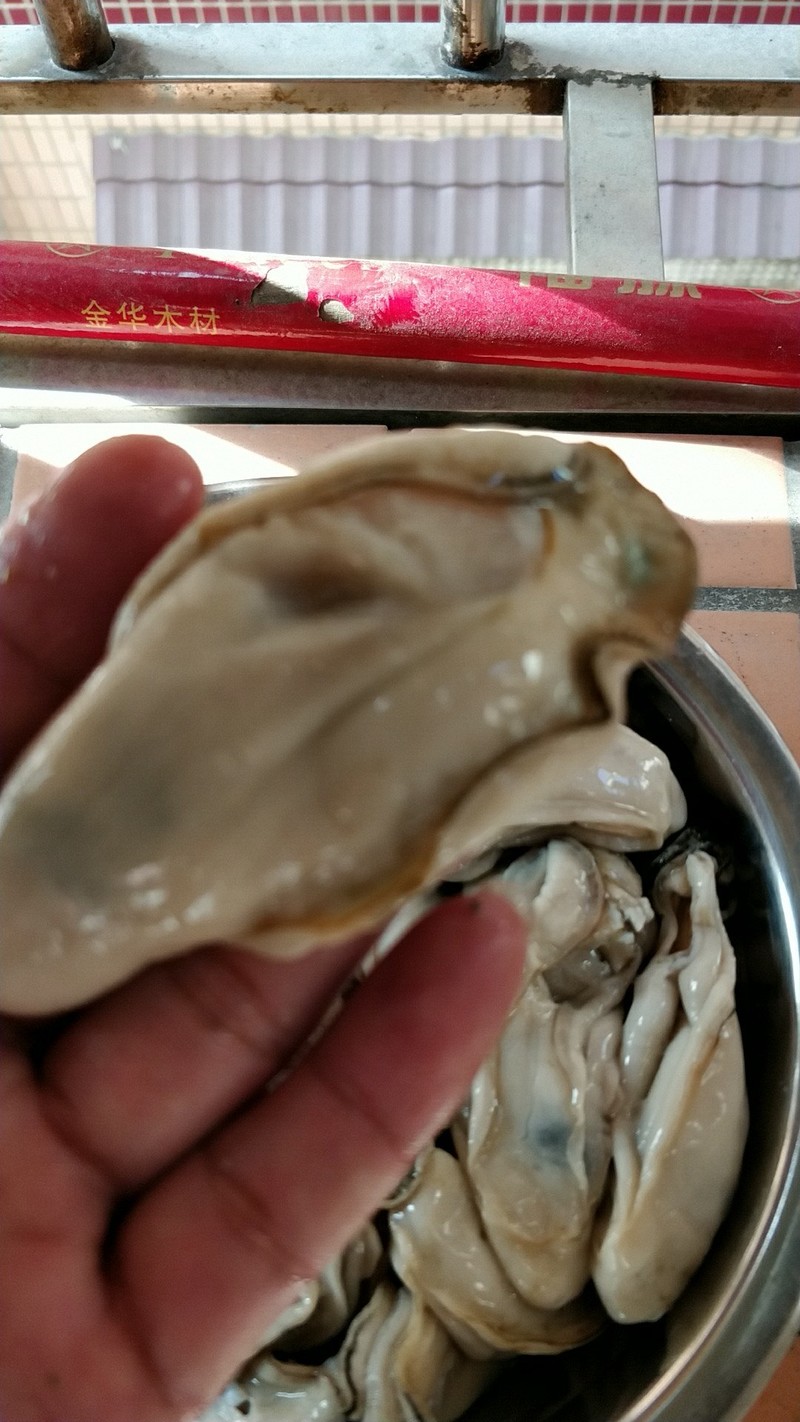 品尝阳江闸坡新鲜生蚝