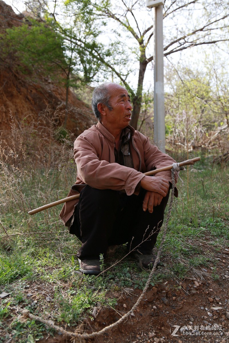 老羊倌的诉说-中关村在线摄影论坛