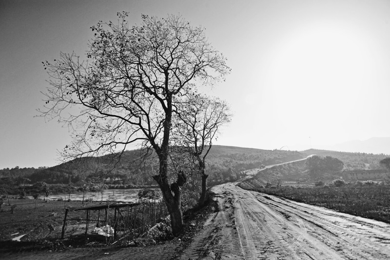 d700＋老银广(乡村风光)