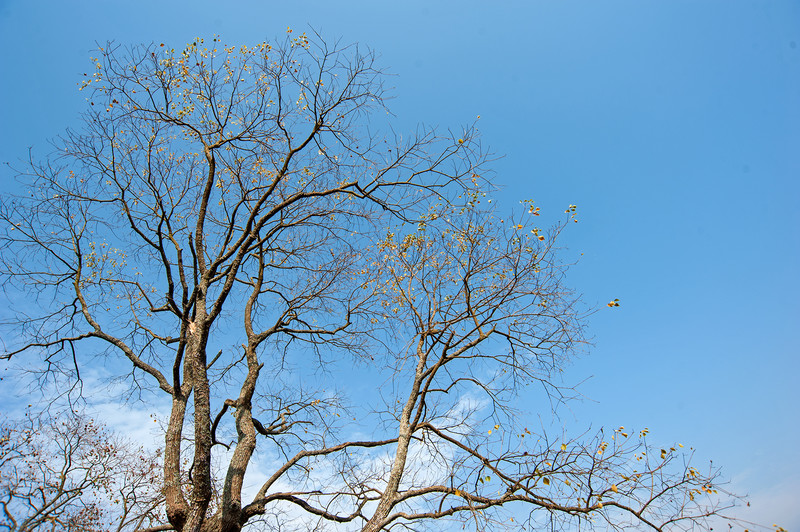 d700＋老银广(乡村风光)