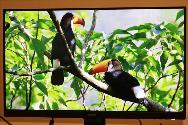 呵护孩子，从一台“护眼”显示器开始！