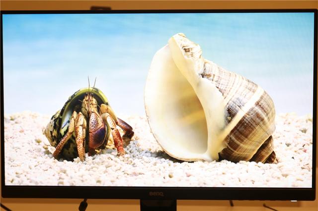 呵护孩子，从一台“护眼”显示器开始！