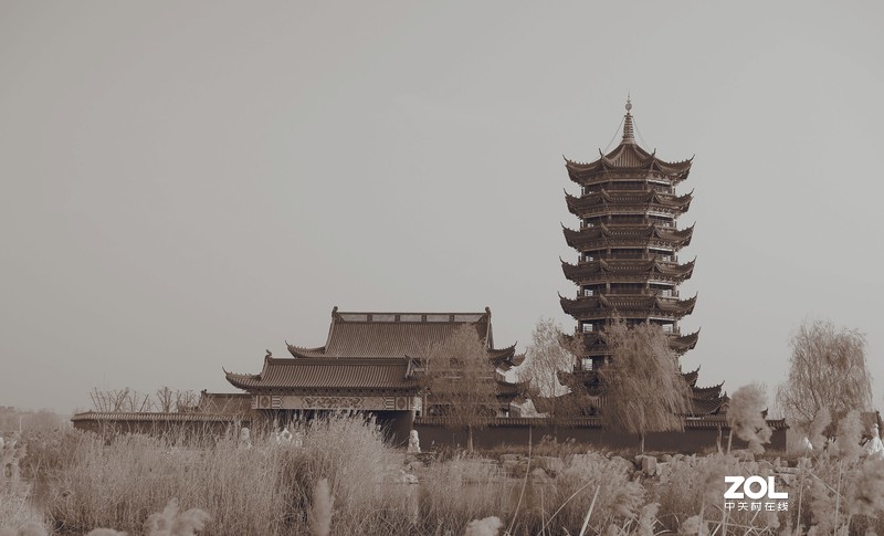 走走拍拍