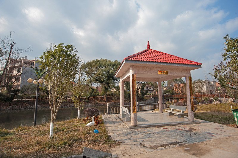 d700＋老银广(乡村风光)