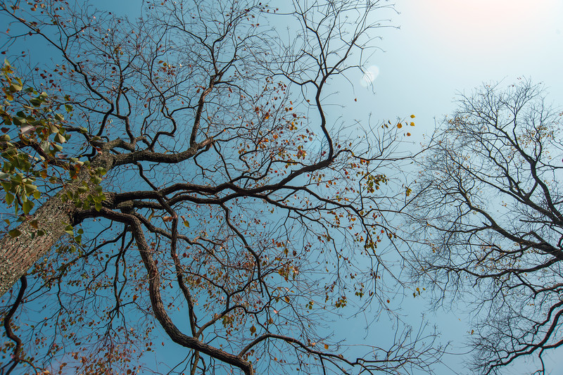 d700＋老银广(乡村风光)