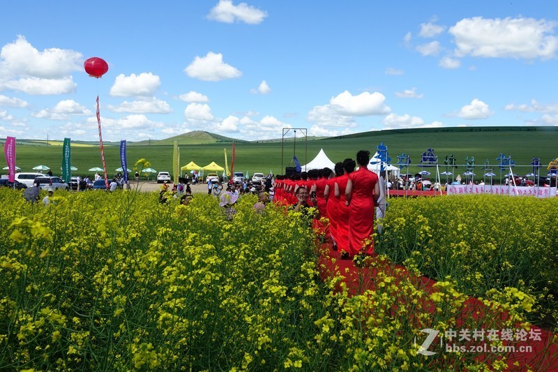牙克石2018油菜花节