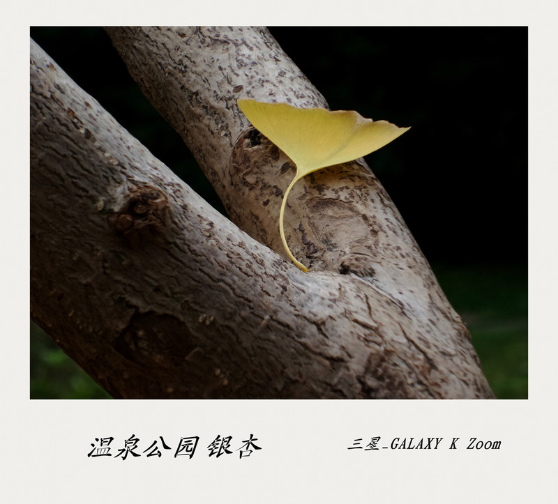 《风景一组》华硕鹰眼试机