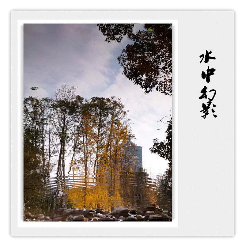 《风景一组》华硕鹰眼试机