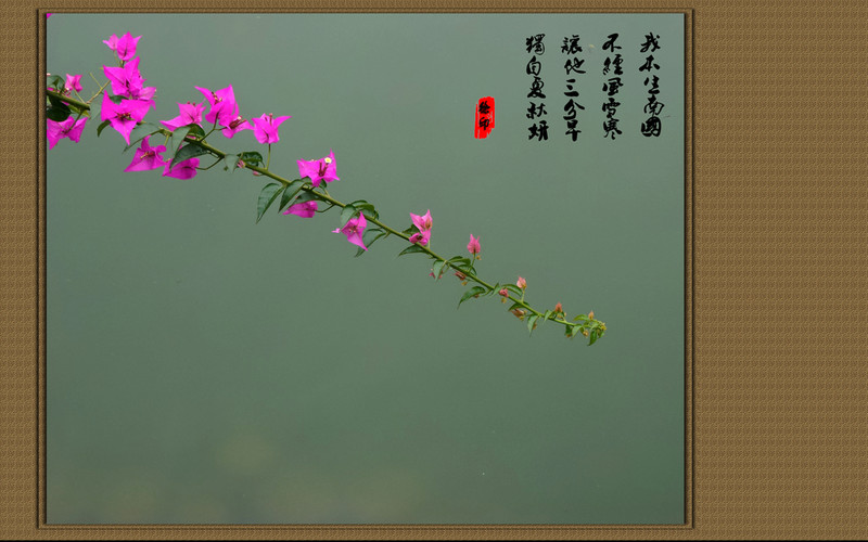 《风景一组》华硕鹰眼试机