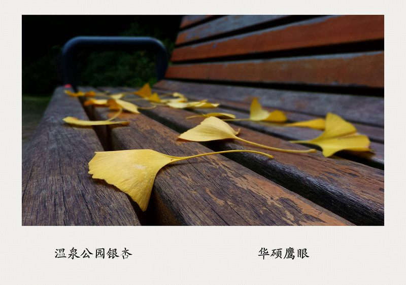 《风景一组》华硕鹰眼试机