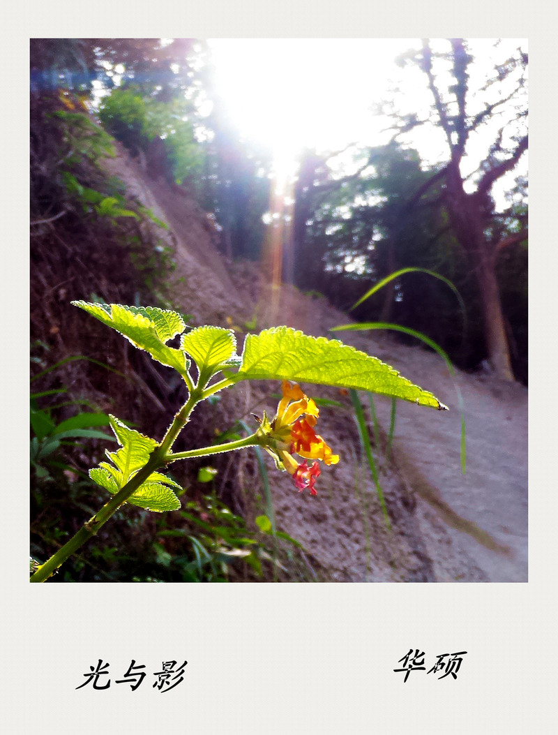 《风景一组》华硕鹰眼试机