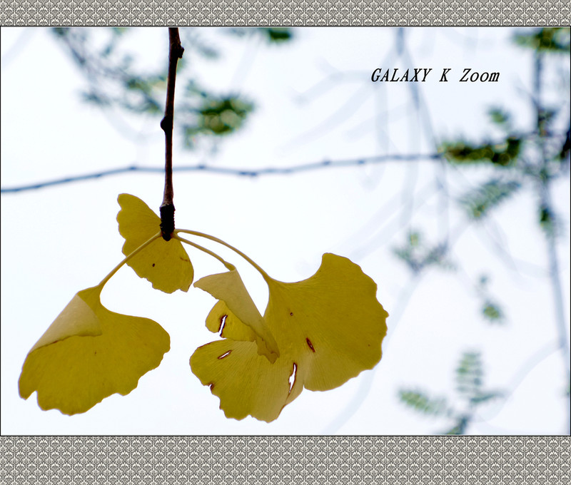 《风景一组》华硕鹰眼试机