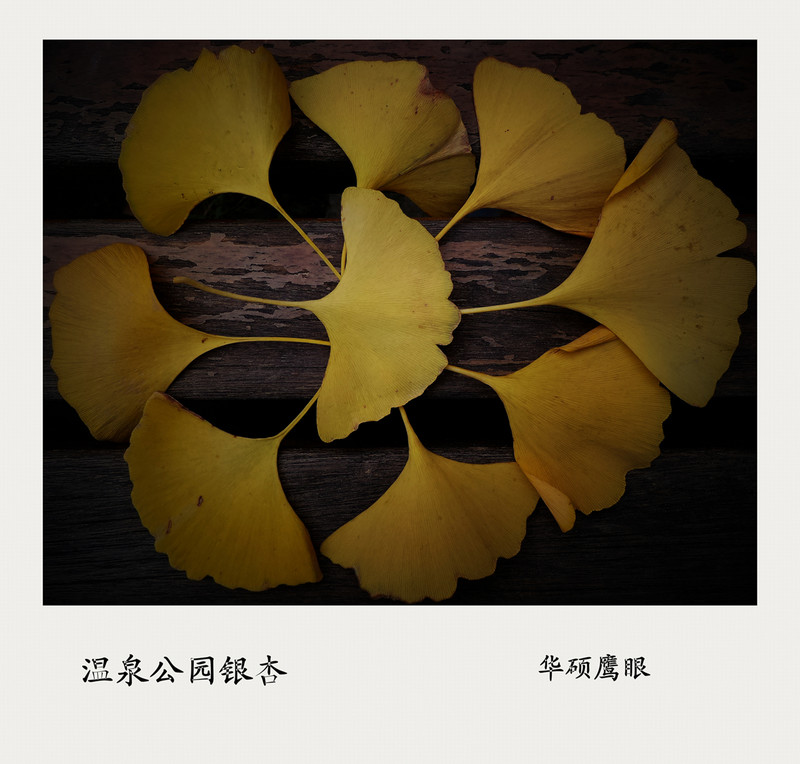 《风景一组》华硕鹰眼试机