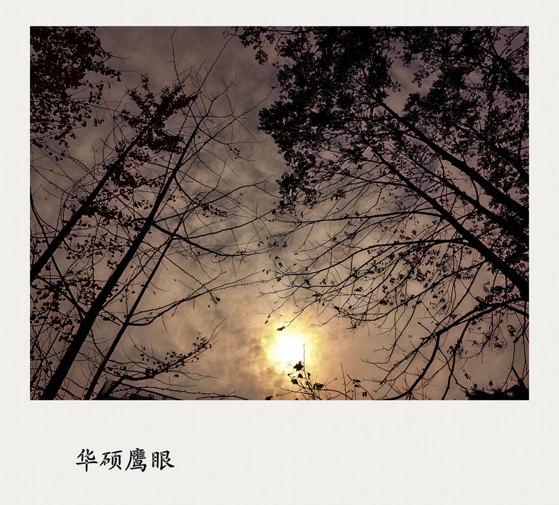 《风景一组》华硕鹰眼试机