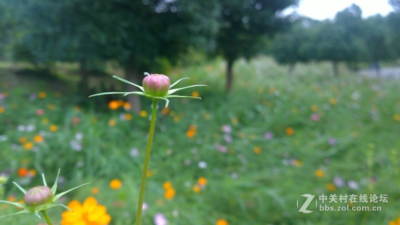 诺基亚1020，2013年的手机！！！