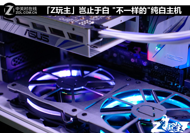 「Z玩主」岂止于白 