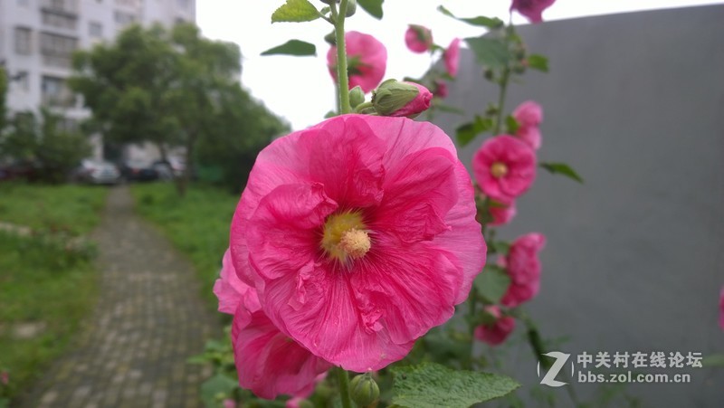 诺基亚1020，2013年的手机！！！